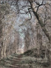 Осенне-весенняя.