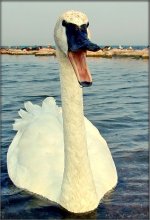 ты ж не кажы "кажы а", а кажы "А-а-а.. (84кб)
