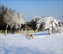 Домик в деревне... (218кб)