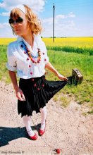 приключения с домашними животными (215кб)