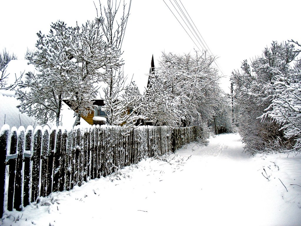  зима в деревне

