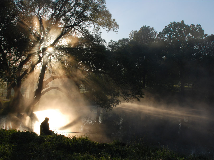 дачный пруд для рыбок #19